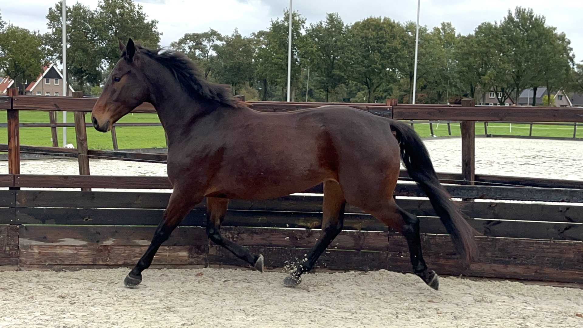 Super brave 4-jarige ruin in Tiendeveen